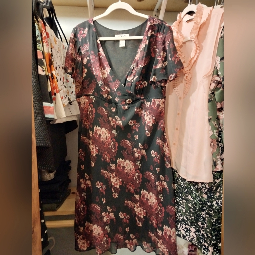 Alfani Woman 14W dress